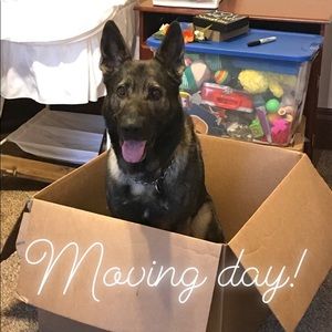 Moving! Closet under construction!